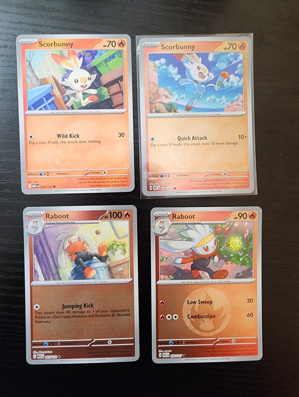 Scorbunny & Raboot Card Lot